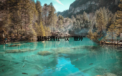 转机出现在一次“意外”