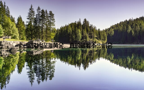 这片深海黄金, 真的藏着不少机会