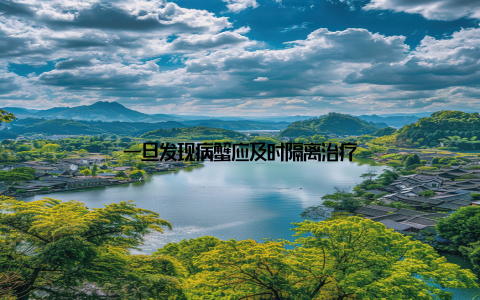 一旦发现病蟹应及时隔离治疗