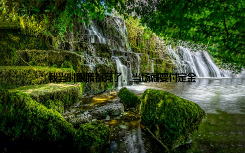 我当时眼睛都亮了, 当场就要付定金