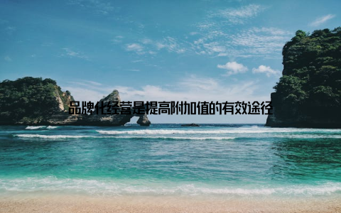 品牌化经营是提高附加值的有效途径