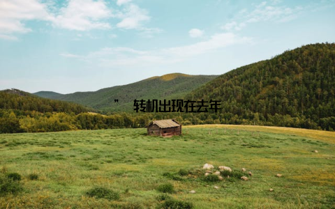 ” 转机出现在去年