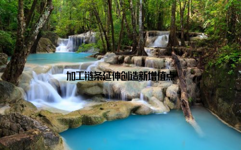 加工链条延伸创造新增值点