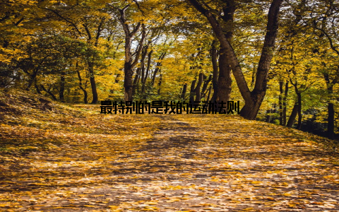 最特别的是我的运动法则