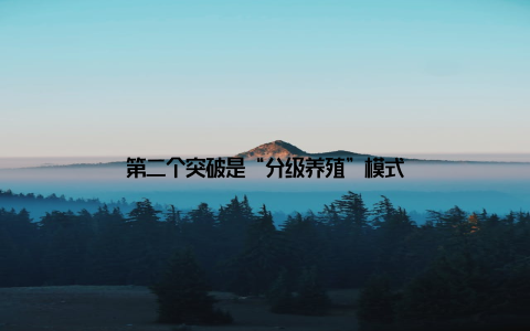 第二个突破是“分级养殖”模式