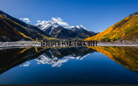 这批的生长情况确实很好