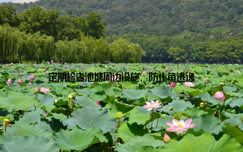 定期检查池塘周边设施, 防止鱼逃逸