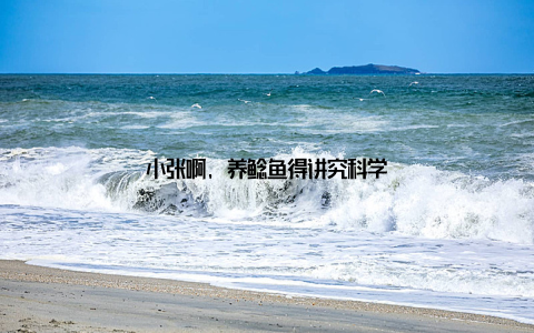 小张啊, 养鲶鱼得讲究科学