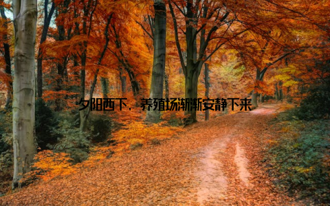 夕阳西下, 养殖场渐渐安静下来