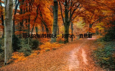 那天的海浪特别大, 我的心一直悬着