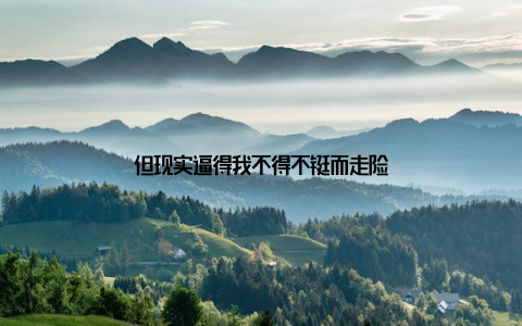 但现实逼得我不得不铤而走险