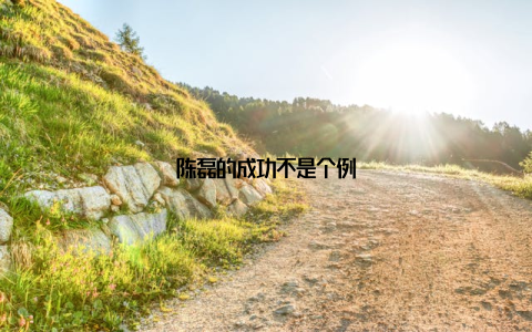 陈磊的成功不是个例