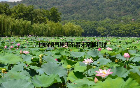 ”他的语气里夹杂着无奈和担忧