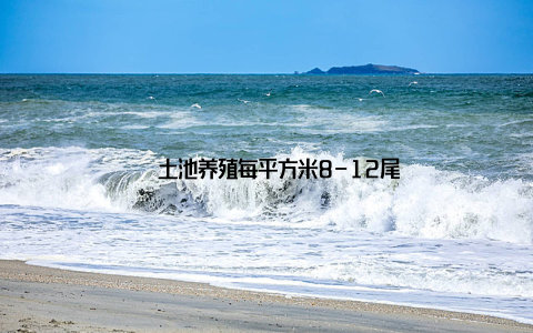 – 土池养殖每平方米8-12尾