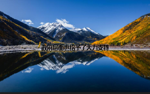 政府层面也给予了大力支持