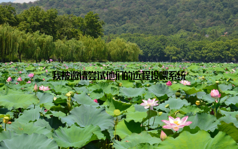 我被邀请尝试他们的远程投喂系统