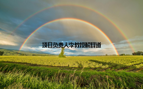 项目负责人李教授解释道