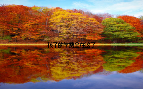 孩子的学费全在这了