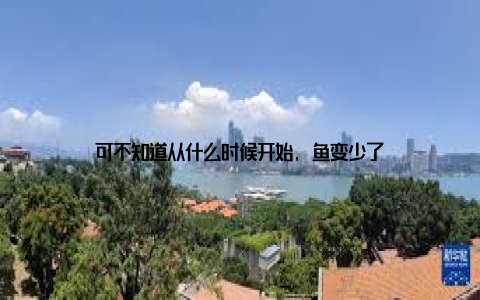 可不知道从什么时候开始, 鱼变少了
