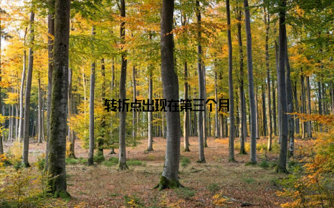 转折点出现在第三个月