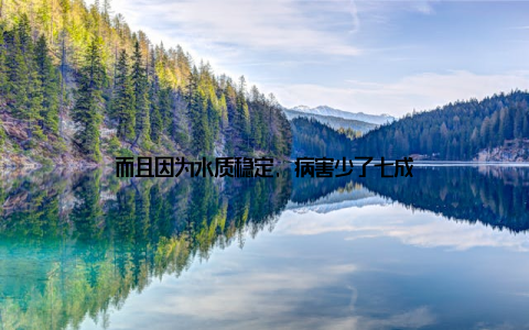 而且因为水质稳定, 病害少了七成