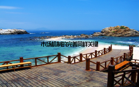 市场机制的完善同样关键