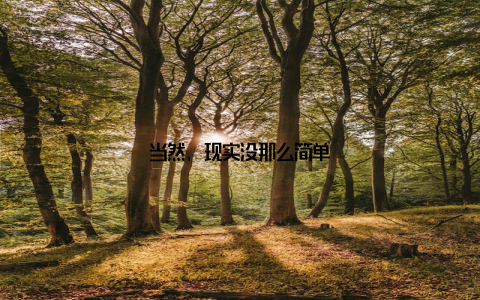 当然, 现实没那么简单