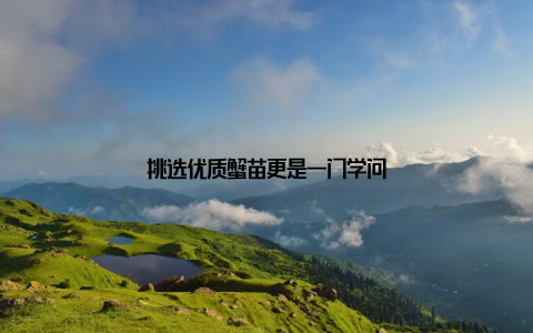 挑选优质蟹苗更是一门学问