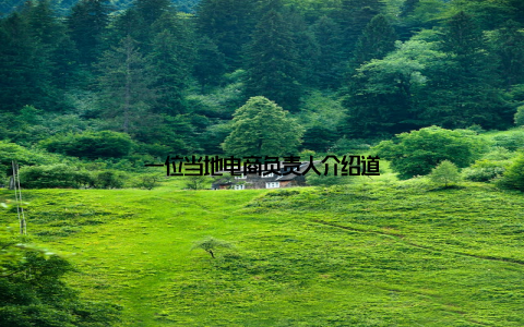 一位当地电商负责人介绍道