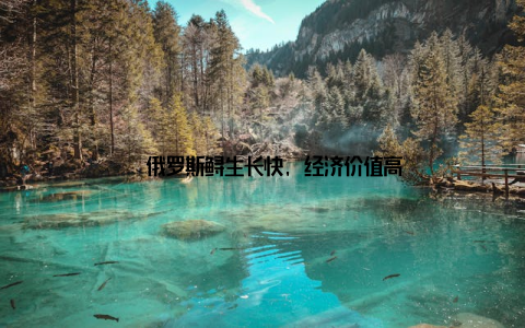 – 俄罗斯鲟生长快, 经济价值高