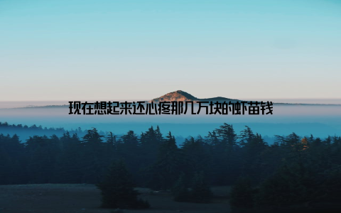 现在想起来还心疼那几万块的虾苗钱