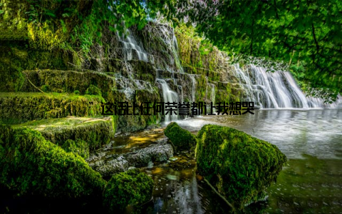 ”这话比任何荣誉都让我想哭