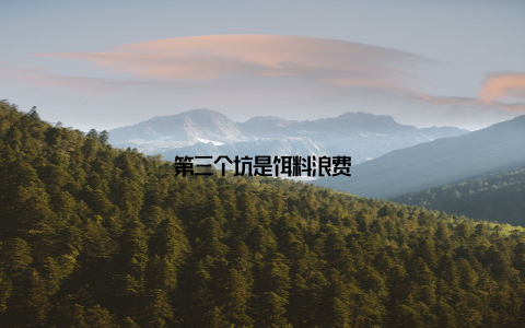 第三个坑是饵料浪费