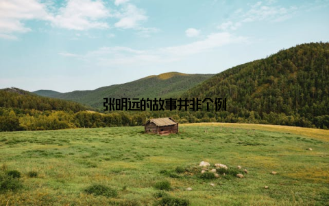 张明远的故事并非个例