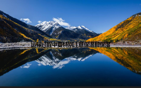 运输过程中要特别注意保温和保湿