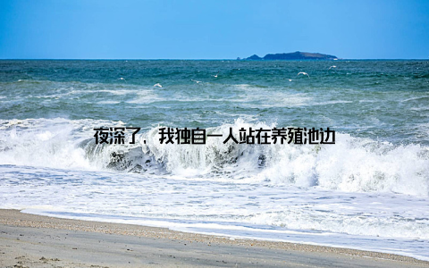 夜深了, 我独自一人站在养殖池边