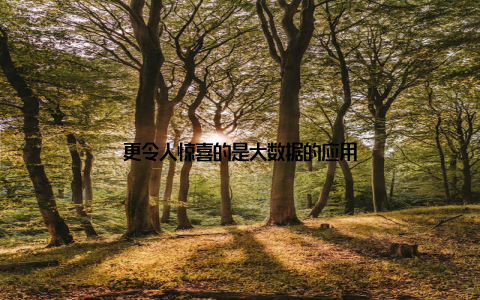 更令人惊喜的是大数据的应用