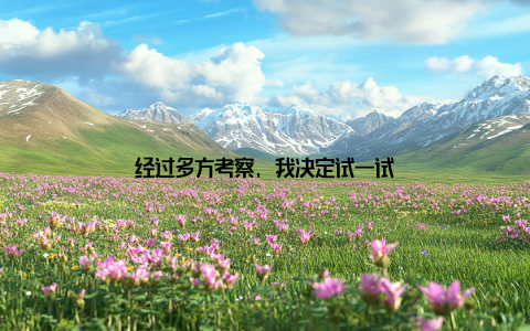 经过多方考察, 我决定试一试