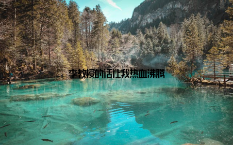 李教授的话让我热血沸腾