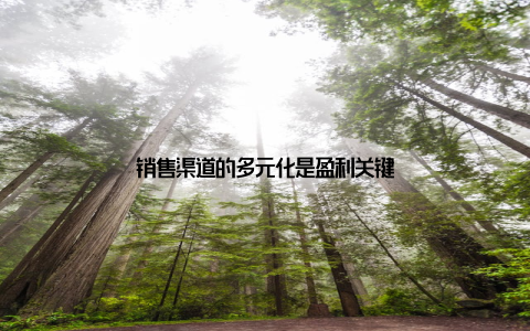 销售渠道的多元化是盈利关键