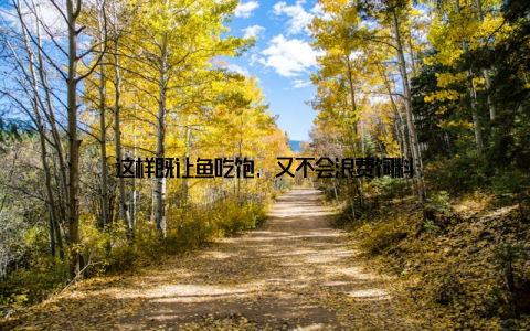 这样既让鱼吃饱, 又不会浪费饲料