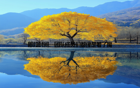 那段时间, 团队成员们都像是着了魔