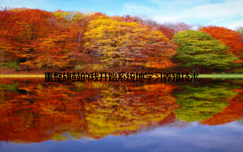 重整旗鼓的我开始系统地学习养殖技术