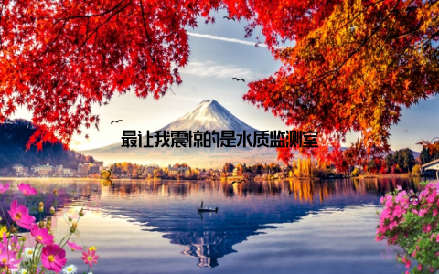 最让我震惊的是水质监测室