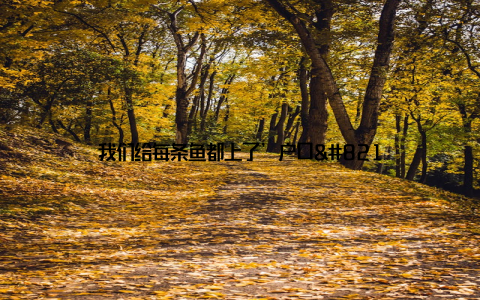 我们给每条鱼都上了’户口’