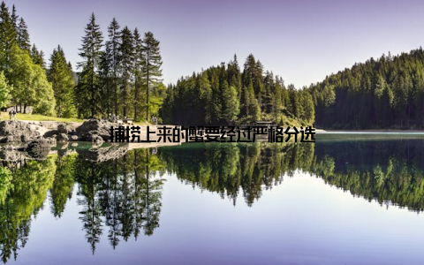 捕捞上来的蟹要经过严格分选