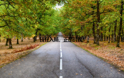 现在入局, 正是时候!