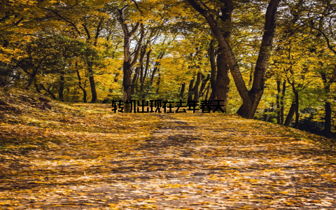 转机出现在去年春天