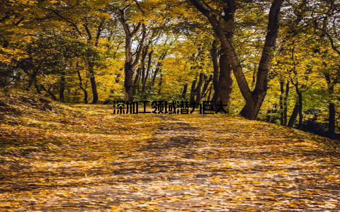 深加工领域潜力巨大