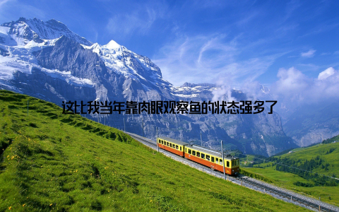 这比我当年靠肉眼观察鱼的状态强多了